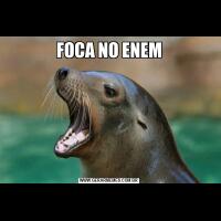 FOCA NO ENEM