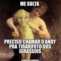 ME SOLTA PRECISO CHAMAR O ANDY PRA TIRAR FOTO DOS GIRASSÓIS
