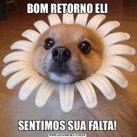 BOM RETORNO ELISENTIMOS SUA FALTA!