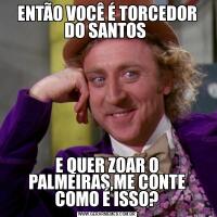 ENTÃO VOCÊ É TORCEDOR DO SANTOS E QUER ZOAR O PALMEIRAS,ME CONTE COMO É ISSO?