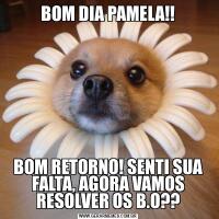 BOM DIA PAMELA!!BOM RETORNO! SENTI SUA FALTA, AGORA VAMOS RESOLVER OS B.O??
