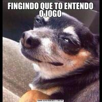 FINGINDO QUE TO ENTENDO O JOGO