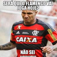 SERÁ QUE O FLAMENGO VAI JOGA HOJE?NÃO SEI 
