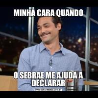 MINHA CARA QUANDOO SEBRAE ME AJUDA A DECLARAR