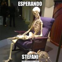 ESPERANDO STEFANI 