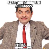 SABE O QUE CAIRIA BEM AGORA????FÉRIAS..........