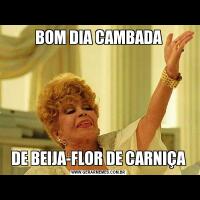 BOM DIA CAMBADADE BEIJA-FLOR DE CARNIÇA