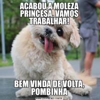 ACABOU A MOLEZA PRINCESA, VAMOS TRABALHAR!BEM VINDA DE VOLTA, POMBINHA