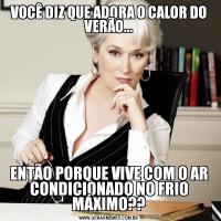VOCÊ DIZ QUE ADORA O CALOR DO VERÃO...ENTÃO PORQUE VIVE COM O AR CONDICIONADO NO FRIO MÁXIMO??