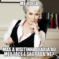 ME ODEIAMAS A VISITINHA DIÁRIA AO MEU FACE É SAGRADA, NÉ?