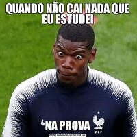 QUANDO NÃO CAI NADA QUE EU ESTUDEINA PROVA