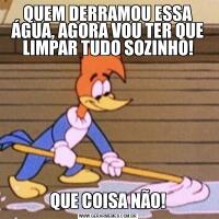 QUEM DERRAMOU ESSA ÁGUA, AGORA VOU TER QUE LIMPAR TUDO SOZINHO!QUE COISA NÃO!