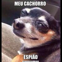 MEU CACHORRO ESPIÃO