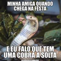 MINHA AMIGA QUANDO CHEGA NA FESTAE EU FALO QUE TEM UMA COBRA A SOLTA