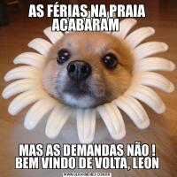 AS FÉRIAS NA PRAIA ACABARAM MAS AS DEMANDAS NÃO !
BEM VINDO DE VOLTA, LEON