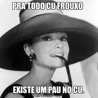 PRA TODO CU FROUXO EXISTE UM PAU NO CU.