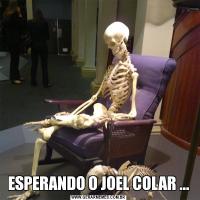 ESPERANDO O JOEL COLAR ...