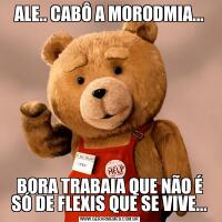 ALE.. CABÔ A MORODMIA...BORA TRABAIA QUE NÃO É SÓ DE FLEXIS QUE SE VIVE...