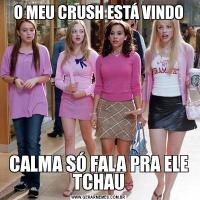 O MEU CRUSH ESTÁ VINDOCALMA SÓ FALA PRA ELE TCHAU