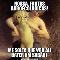NOSSA, FRUTAS AGROECOLÓGICAS!ME SOLTA QUE VOU ALI BATER UM SABÃO! 