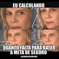 EU CALCULANDO QUANTO FALTA PARA BATER A META DE SEGURO 