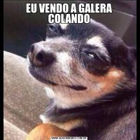 EU VENDO A GALERA COLANDO