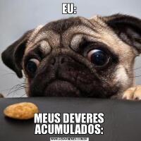 EU:MEUS DEVERES ACUMULADOS: