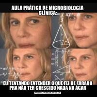 AULA PRÁTICA DE MICROBIOLOGIA CLÍNICA:EU TENTANDO ENTENDER O QUE FIZ DE ERRADO PRA NÃO TER CRESCIDO NADA NO ÁGAR