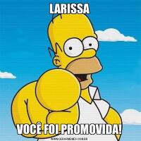 LARISSAVOCÊ FOI PROMOVIDA!