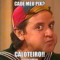 CADE MEU PIX?CALOTEIRO!!