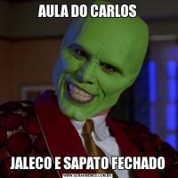 AULA DO CARLOSJALECO E SAPATO FECHADO