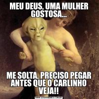 MEU DEUS, UMA MULHER GOSTOSA...ME SOLTA, PRECISO PEGAR ANTES QUE O CARLINHO VEJA!!