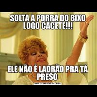 SOLTA A PORRA DO BIXO LOGO CACETE!!!ELE NÃO É LADRÃO PRA TÁ PRESO 