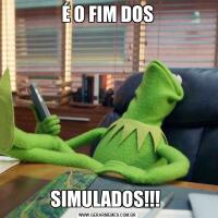 É O FIM DOSSIMULADOS!!! 