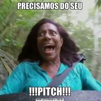 PRECISAMOS DO SEU!!!PITCH!!!