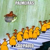 PALMEIRASSAO PAULO