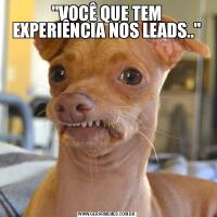 &QUOT;VOCÊ QUE TEM EXPERIÊNCIA NOS LEADS..&QUOT;