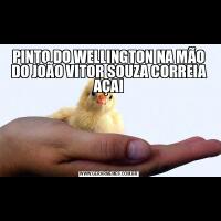 PINTO DO WELLINGTON NA MÃO DO JOÃO VITOR SOUZA CORREIA AÇAI