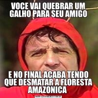 VOCE VAI QUEBRAR UM GALHO PARA SEU AMIGOE NO FINAL ACABA TENDO QUE DESMATAR A FLORESTA AMAZONICA 