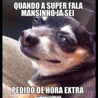 QUANDO A SUPER FALA MANSINHO JÁ SEI PEDIDO DE HORA EXTRA 