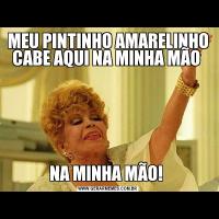 MEU PINTINHO AMARELINHO CABE AQUI NA MINHA MÃO NA MINHA MÃO! 