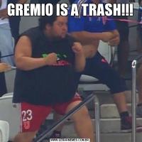 GREMIO IS A TRASH!!!