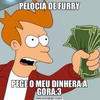 PELOCIA DE FURRYPEGE O MEU DINHERA A GORA:3
