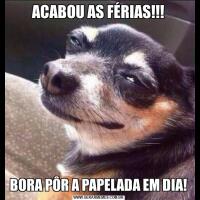 ACABOU AS FÉRIAS!!!BORA PÔR A PAPELADA EM DIA!