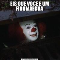 EIS QUE VOCÊ É UM FIDUMAÉGUA