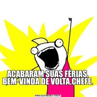 ACABARAM SUAS FÉRIAS, BEM-VINDA DE VOLTA,CHEFE. 