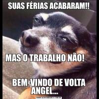 SUAS FÉRIAS ACABARAM!!MAS O TRABALHO NÃO!                                                               
BEM-VINDO DE VOLTA ANGEL...     