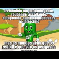 os bandido tão matando gente, roubando, assaltando, estuprando, queimando pessoas no latrocíniomas os mongos acha que os redpill é que são os perigosos