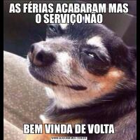 AS FÉRIAS ACABARAM MAS O SERVIÇO NÃOBEM VINDA DE VOLTA