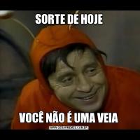 SORTE DE HOJEVOCÊ NÃO É UMA VEIA